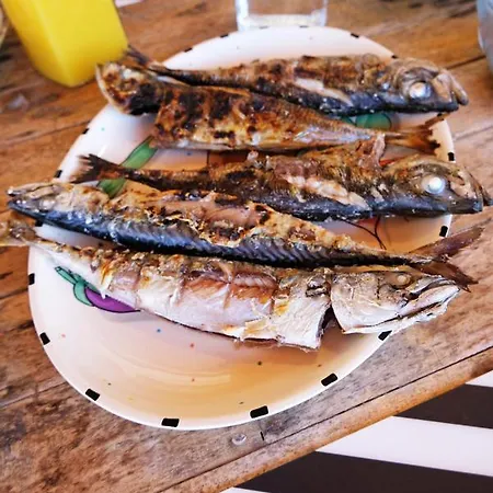 Freesurfcamp Auberge de jeunesse *