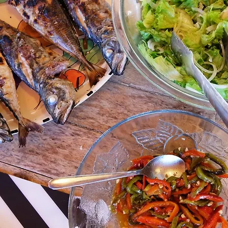 Auberge de jeunesse Freesurfcamp