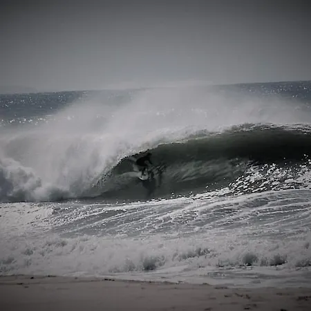 Freesurfcamp Auberge de jeunesse Baleal