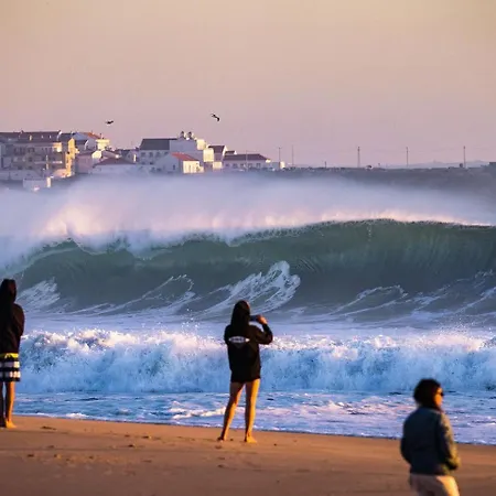 Auberge de jeunesse Freesurfcamp *