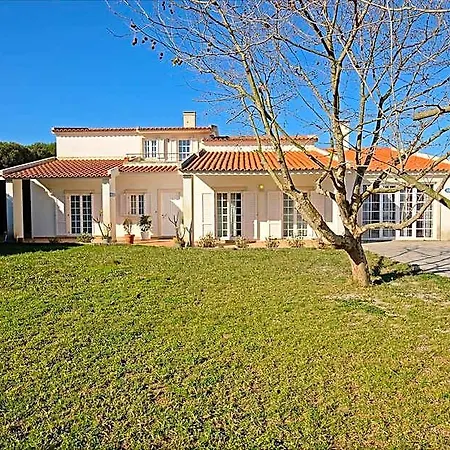 Freesurfcamp Albergue Baleal